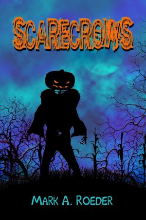 bigCover of the book Scarecrows by 