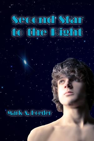 Cover of the book Second Star to the Right by Mark A. Roeder