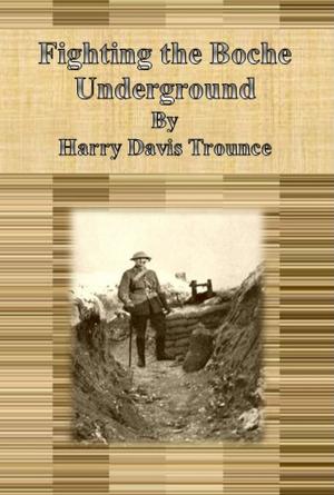 Cover of the book Fighting the Boche Underground by Herbert Carter