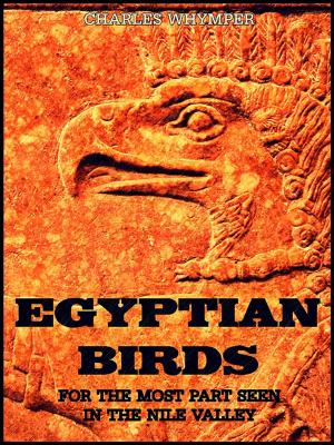 Book cover of Egyptian Birds