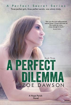 Cover of the book A Perfect Dilemma by Zoe Dawson
