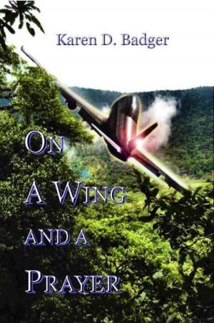Cover of the book On A Wing And A Prayer by Rae Winters