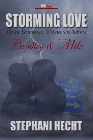 Cover of the book Storming Love: Bradley & Mike by A.J. Llewellyn, D.J. Manly