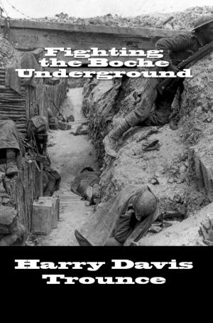 Cover of the book Fighting the Boche Underground by Theodore Flournoy