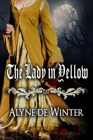 Cover of the book The Lady in Yellow by Vincent Meis