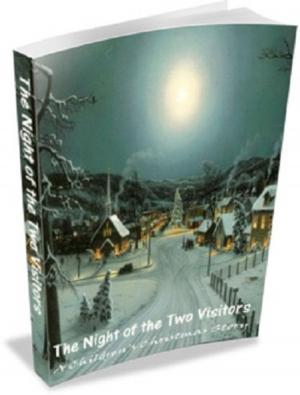 Cover of the book The Night of the Two Visitors by Becky Bolinger