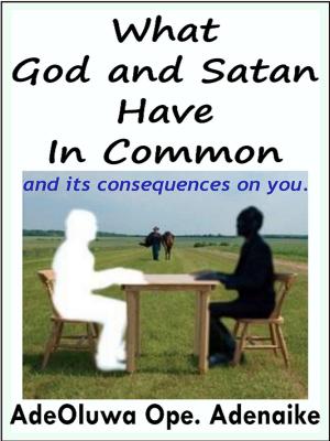 Cover of the book What God And Satan Have in Common by Peter Newman