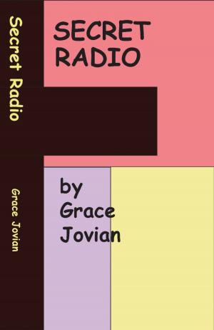 Cover of the book Secret Radio: My Senior Year at a Christian Fundamentalist College by Barbara Leblanc