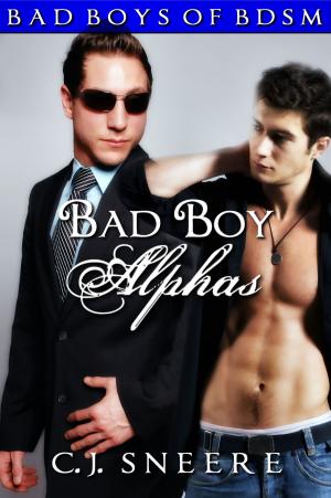 Cover of the book Bad Boy Alphas: Bad Boys of BDSM Vol. 4 by Kate Hewitt