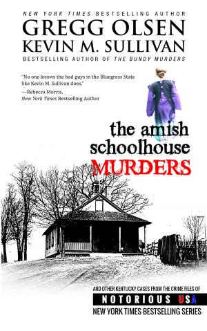 Cover of the book The Amish Schoolhouse Murders by Katherine Ramsland