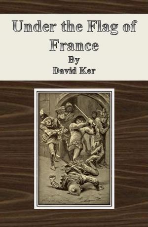 Cover of the book Under the Flag of France by John Kendrick Bangs