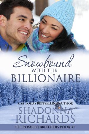 Cover of Snowbound with the Billionaire