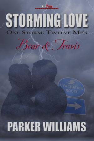 Cover of the book Bear & Travis by Kaje Harper