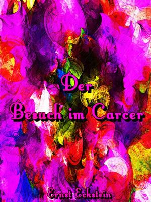 Book cover of Der Besuch im Carcer
