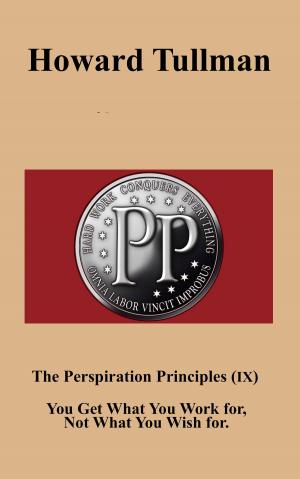 bigCover of the book The Perspiration Principles (IX) by 