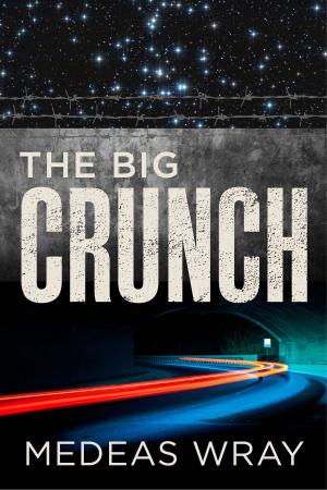Cover of The Big Crunch