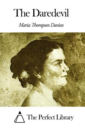 Cover of the book The Daredevil by Mary Johnston
