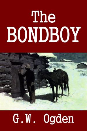 Book cover of The Bondboy
