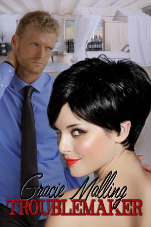 Cover of the book Troublemaker by Samantha Boyd