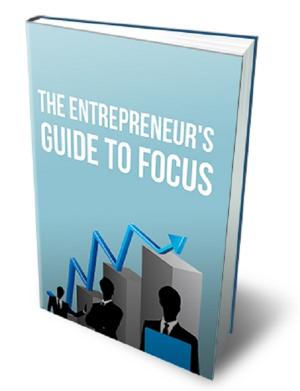Cover of the book The Entrepreneur's Guide To Focus by Hendrik Slegtenhorst