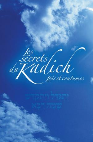 Cover of Les secrets du Kadich