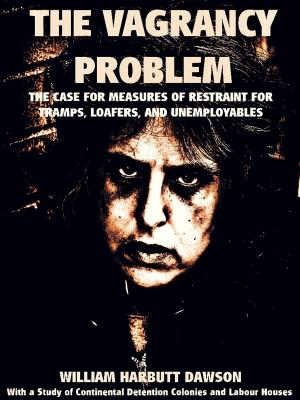 Book cover of The Vagrancy Problem