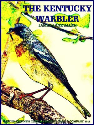 Book cover of The Kentucky Warbler