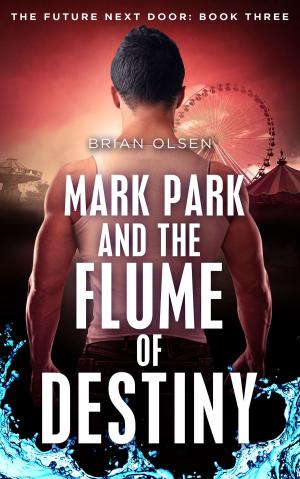 Cover of the book Mark Park and the Flume of Destiny by Diane Cobalt