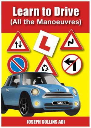 Cover of the book Learn to Drive (All the Manoeuvres) by Martha Rhodes