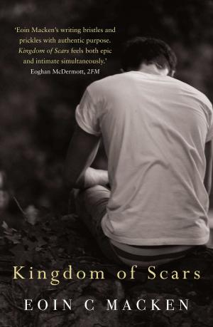 Book cover of Kingdom of Scars