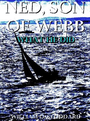 Book cover of Ned, the son of Webb