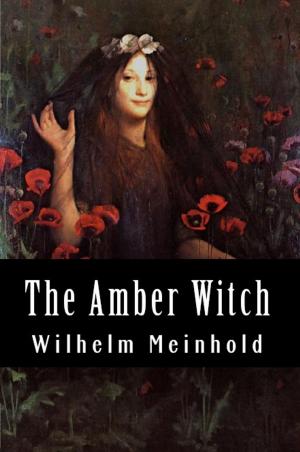 Cover of the book The Amber Witch by Pamela Sherwood