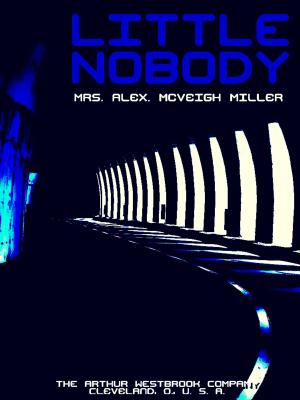Book cover of Little Nobody