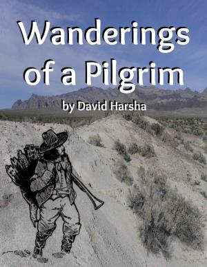 Cover of the book Wanderings of a Pilgrim by Phoebe Palmer