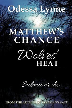 Book cover of Matthew's Chance