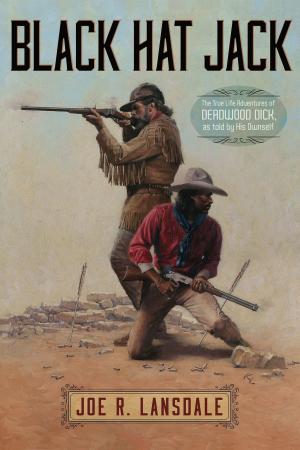 Cover of the book Black Hat Jack by Lewis Shiner