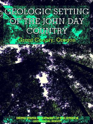 Cover of the book The Geologic Setting of the John Day Country by E. L. Botha