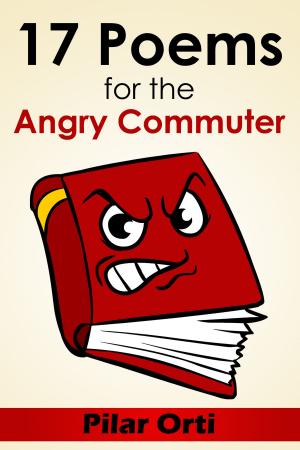 Book cover of 17 Poems for the Angry Commuter