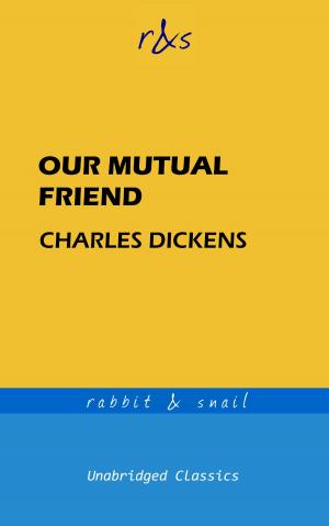 Cover of the book Our Mutual Friend by Richard Edwards