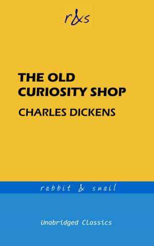 Cover of the book The Old Curiosity Shop by Richard Edwards