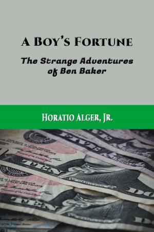 Cover of the book A Boy's Fortune (Illustrated) by Jere D. James