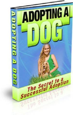bigCover of the book Adopting a Dog by 