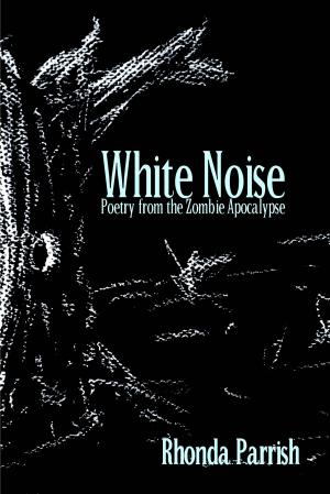 Book cover of White Noise