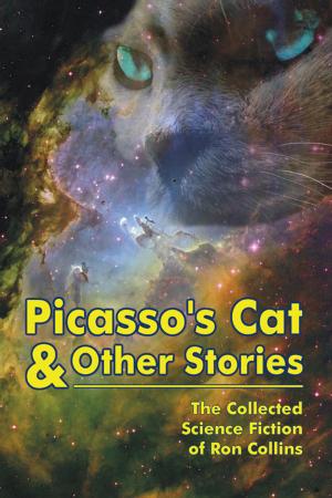 Book cover of Picasso's Cat & Other Stories
