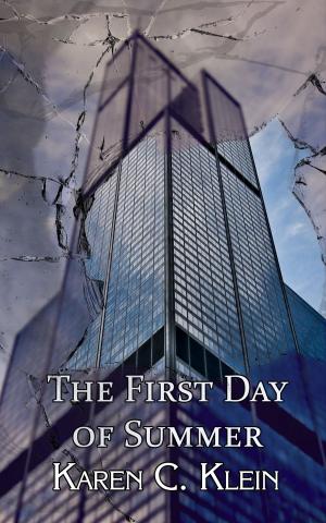 bigCover of the book The First Day of Summer by 