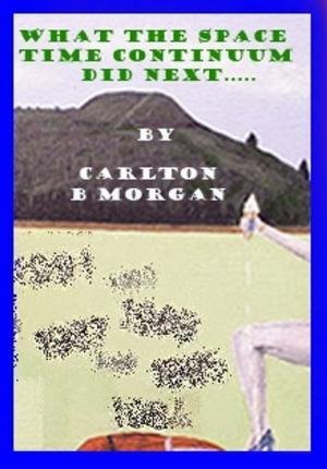Cover of the book What the Space-Time Continuum Did Next by Luther Giordano Nancy Edgington