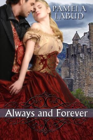 Cover of the book Always and Forever by Jillian David