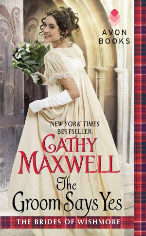 Cover of the book The Groom Says Yes by Maureen McKade