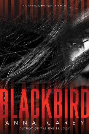 Book cover of Blackbird