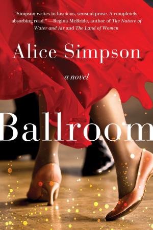 Cover of the book Ballroom by Elizabeth Flock